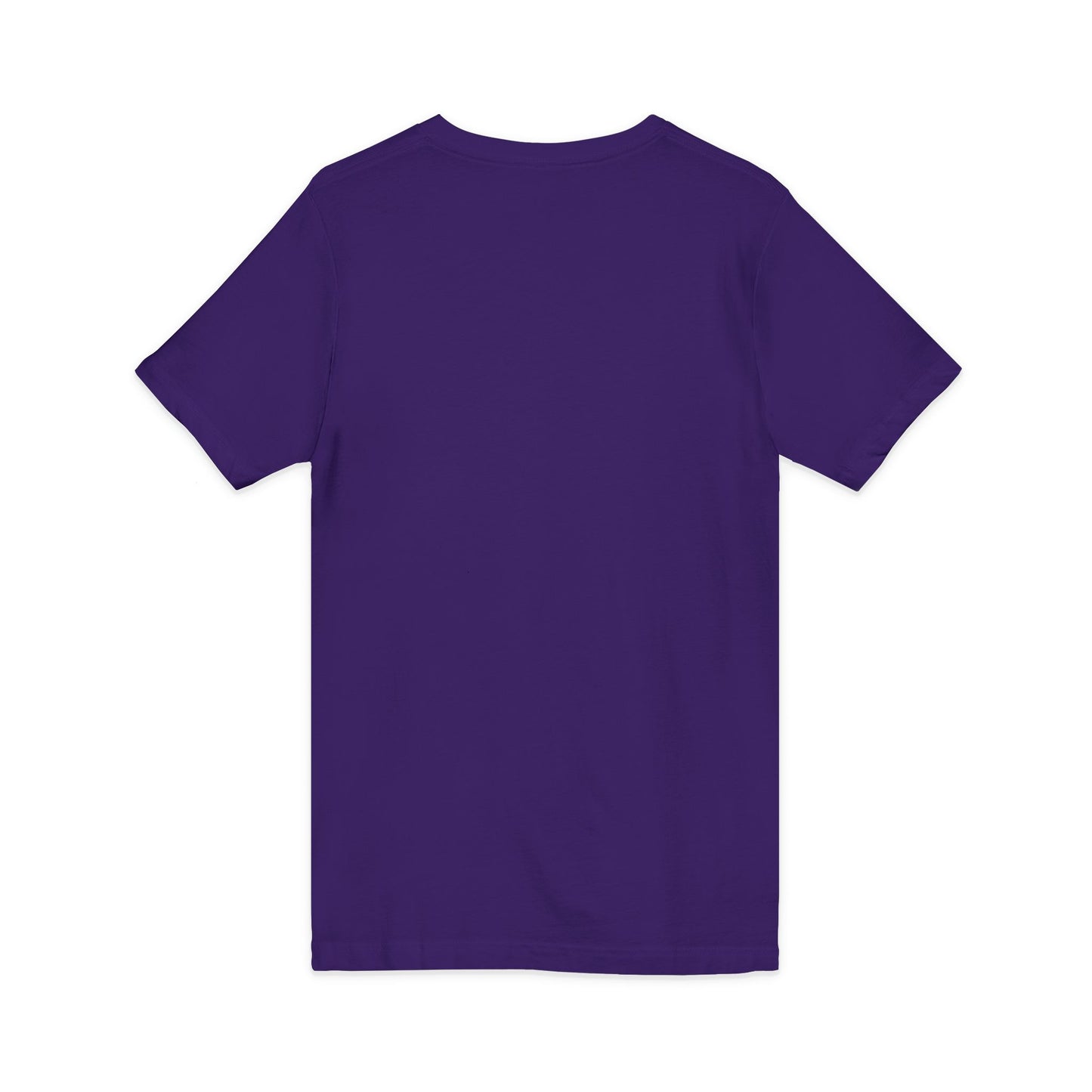St. Patrick’s Day Savannah V-Neck Tee — Cute Savannah Irish Parade Design
